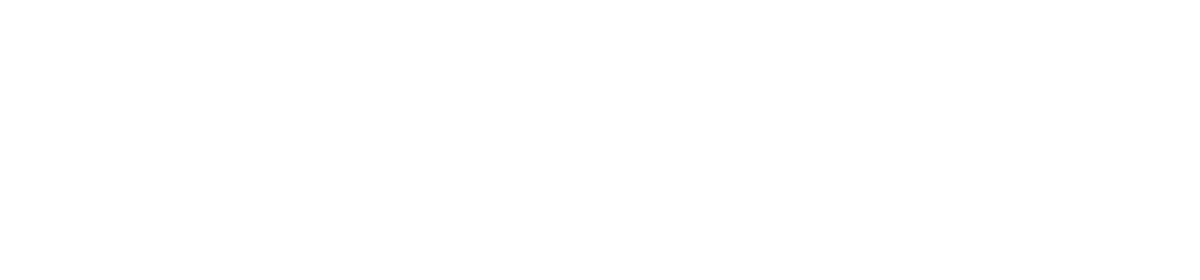 Efficient Computer